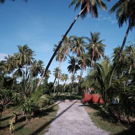 Coconut Tree Homestay Ban Wa Thon Extérieur photo